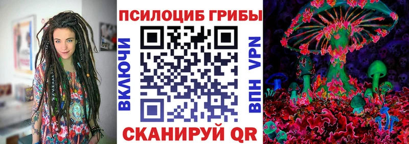 Псилоцибиновые грибы Cubensis закладки Муравленко