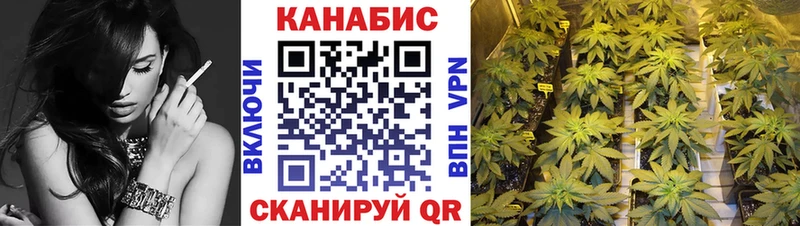 Канабис семена Муравленко
